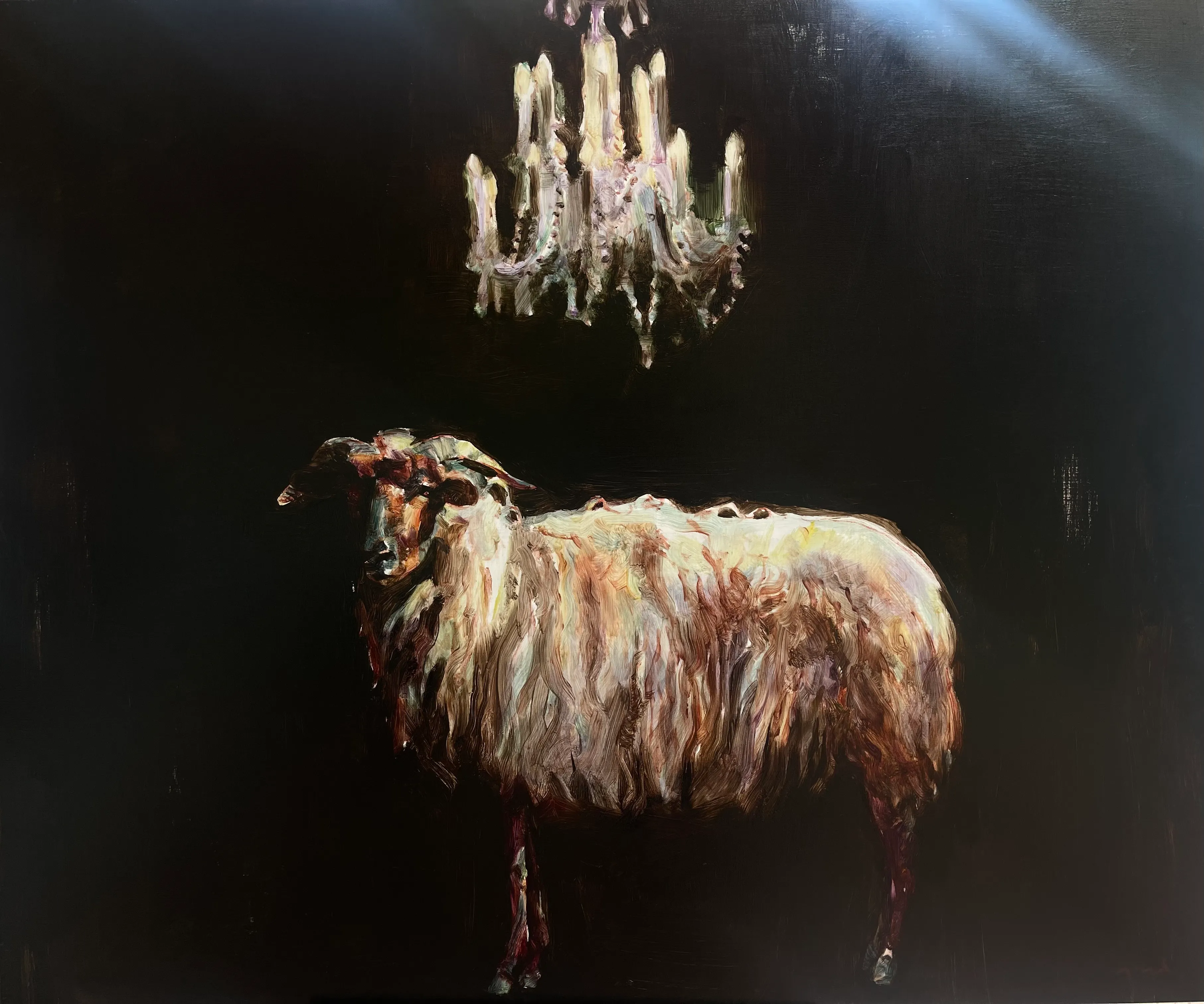 Dark Sheep